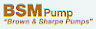 BSM Pump Logo